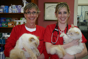 The B Team - Bozeman Animal Clinic Staff