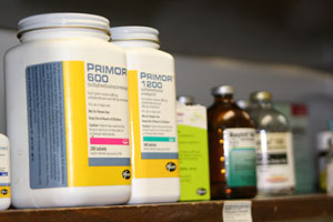 Medical Services