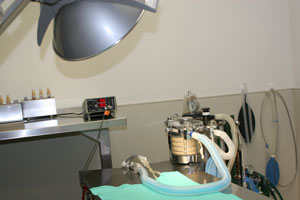 Surgical Services